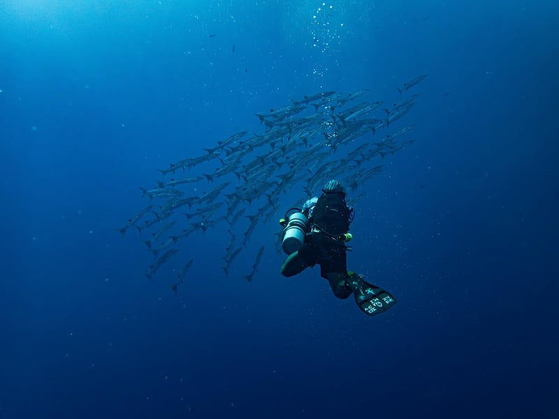 Snorkeling Image